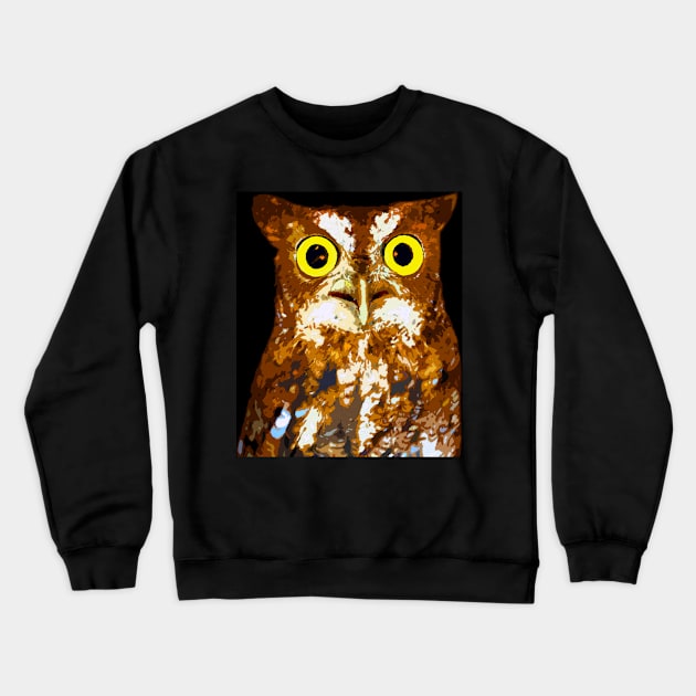 Night Owl Crewneck Sweatshirt by dltphoto